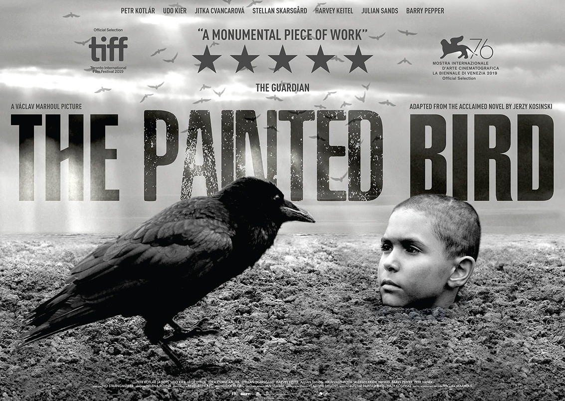 WE RECOMMEND: The Painted Bird