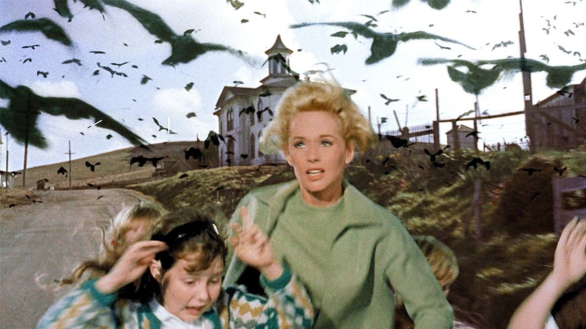 Hitchcock Nights: The Birds